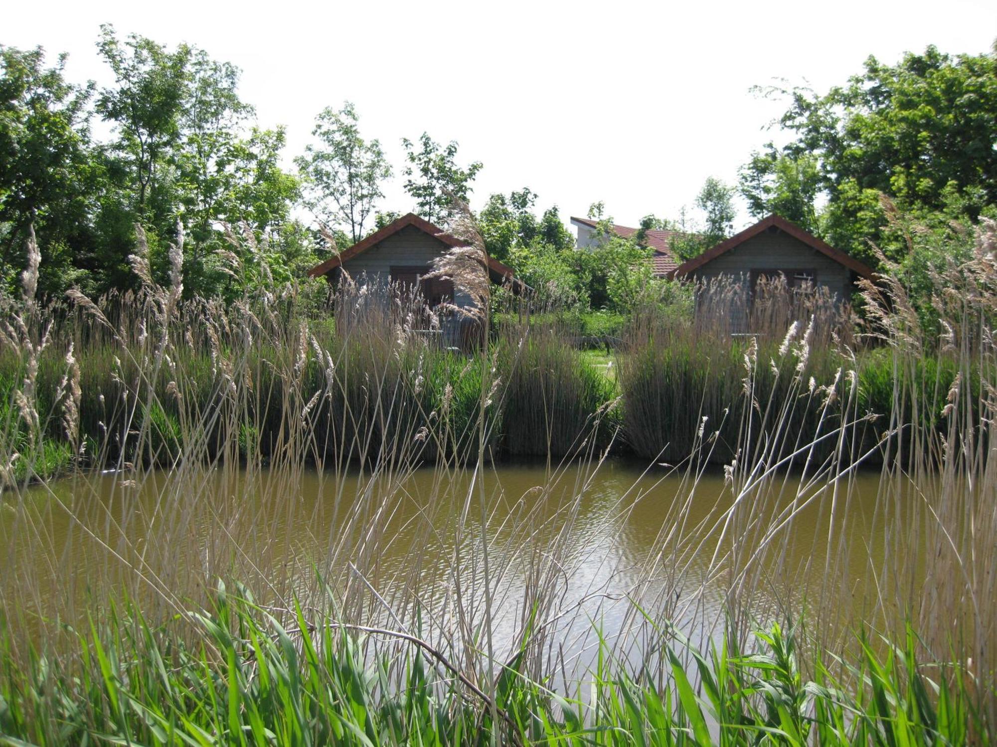 هرلينجن Bed And Breakfast De Zeehoeve المظهر الخارجي الصورة